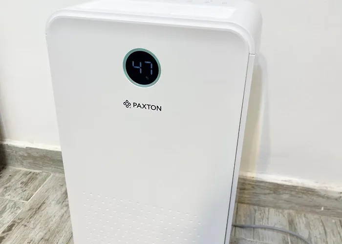 Prime 1 - Half Ground Level With Windows - Demisol Bucureşti