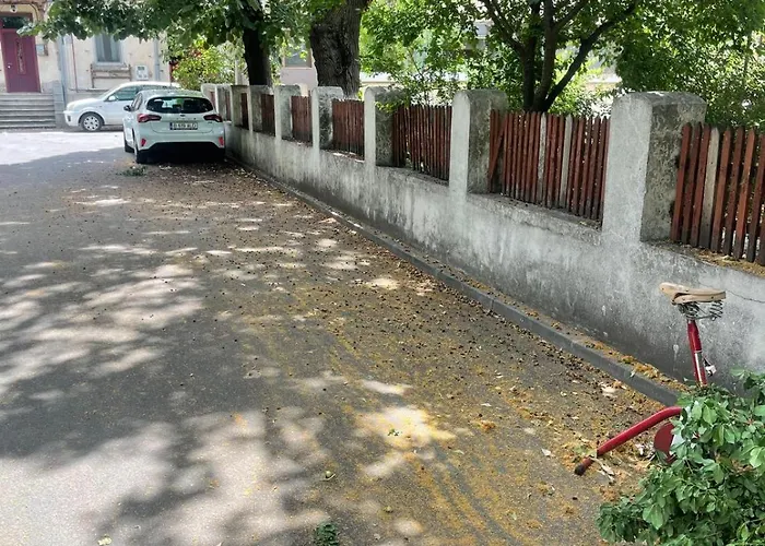 Prime 1 - Half Ground Level With Windows - Demisol Apartament Bucureşti